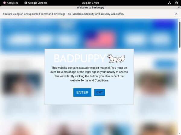 Bad Puppy Site-rip Bad Puppy Site-rip