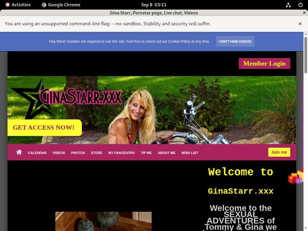 Gina Starr Websites Gina Starr Websites
