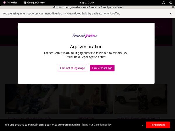 How To Get Into French Porn Gay Free