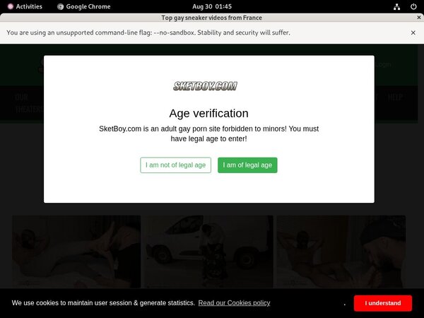 Sketboy.com One Year