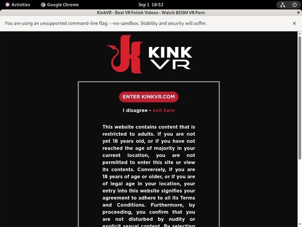 Account Premium Kinkvr