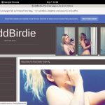 BaddBirdie Discount 50% Off