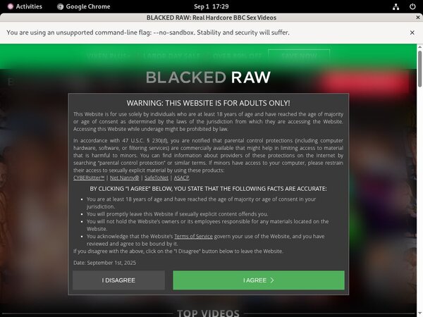 Blacked Raw Sex Porn