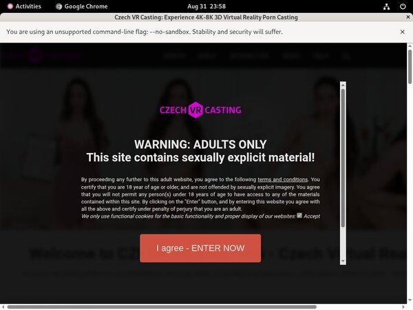 Czechvrcasting Login Ids