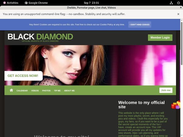 Dwilde.modelcentro.com Check Out