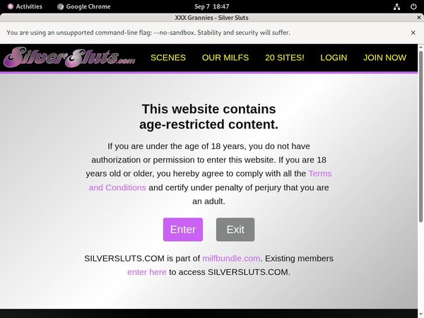 Free Account In Silversluts