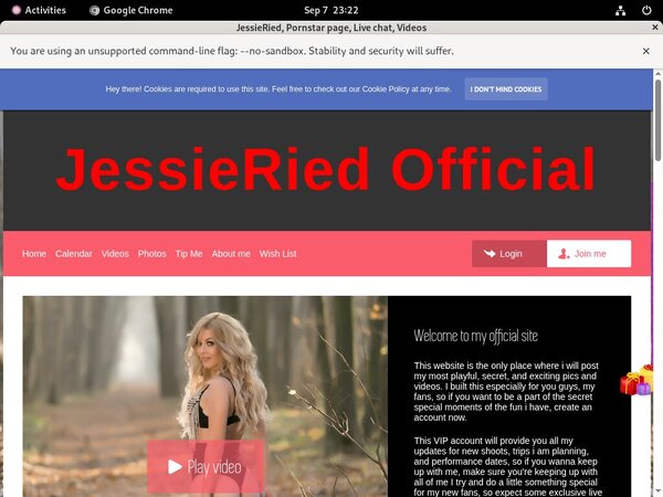 Jessieried.modelcentro.com Free Passwords