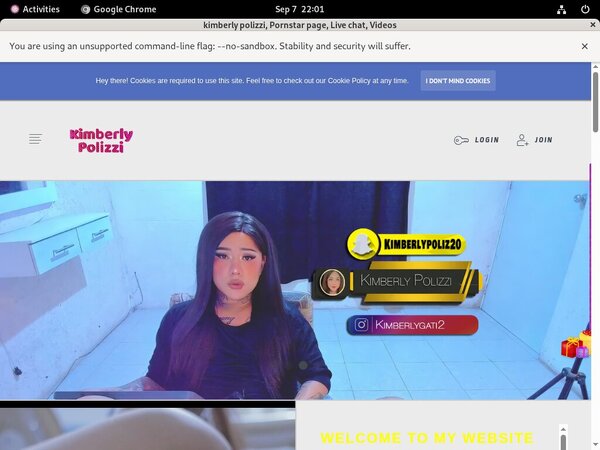 Kimberlypolizzi.com Accounts Working