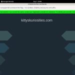 Kitty’s Kuriosities Subscriptions