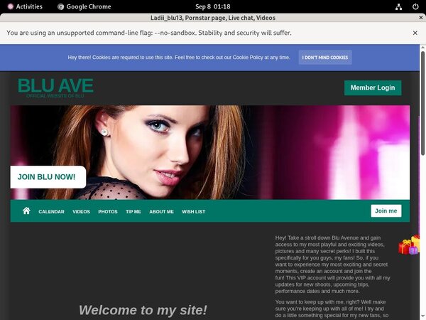 Ladiiblu13.modelcentro.com Sex Tube