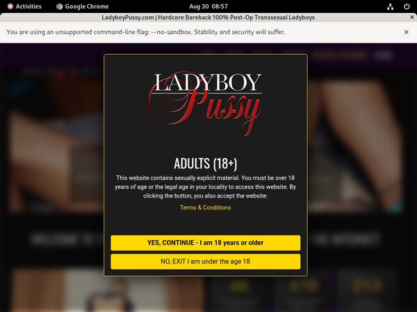 Ladyboy Pussy Discount Plan