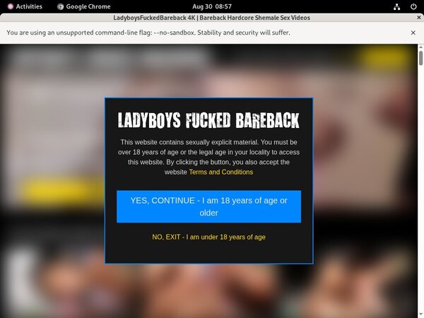 [Image: Ladyboys-Fucked-Bareback-Register.jpg]