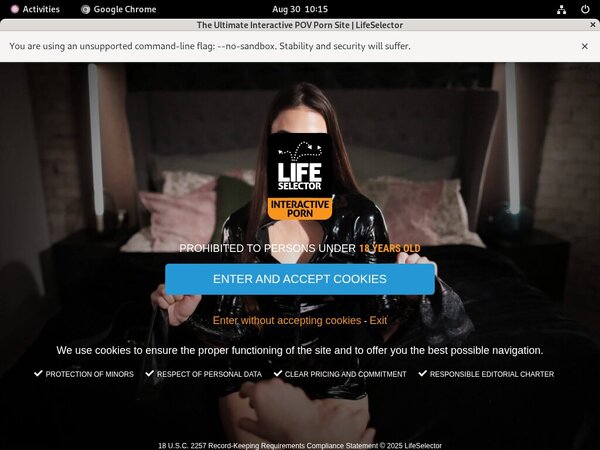 Lifeselector.com Gay Sex