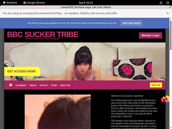 Linxer2013.modelcentro.com Compilation