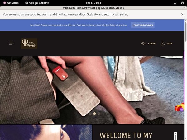 Miss Kelly Payne Stolen Password