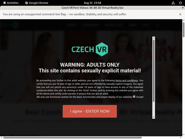 Passwords To Czech VR