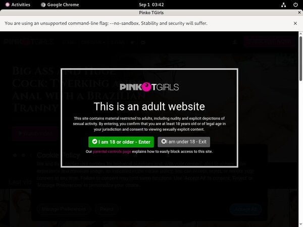 PinkO TGirls Discount Porno
