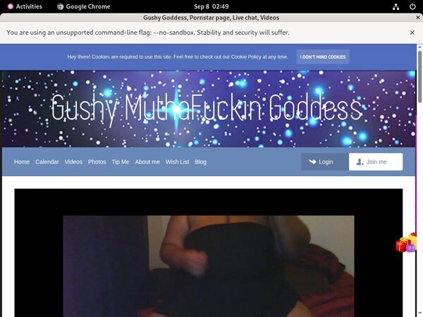 Promo Code Gushy Goddess