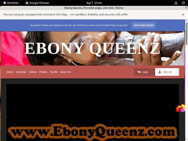 Promo Codes EbonyQueenz