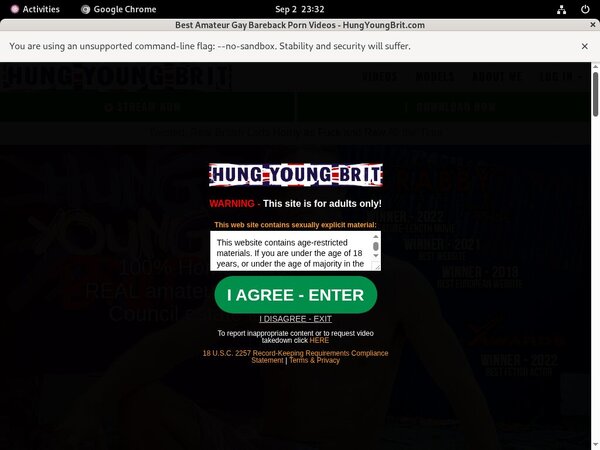 Promo Codes Hung Young Brit