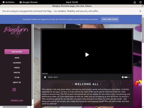 Rozlynn.modelcentro.com Org