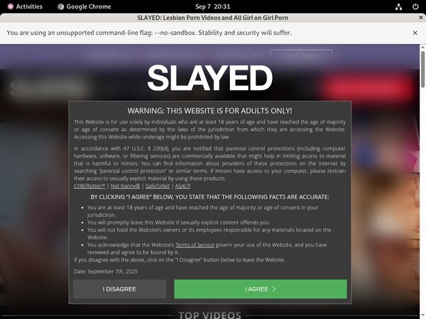 Slayed Hd Sex Videos