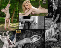 Subspace Land Trial Membership Free s1