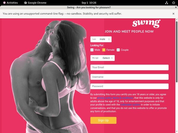 Swing.net Segpayeu Com