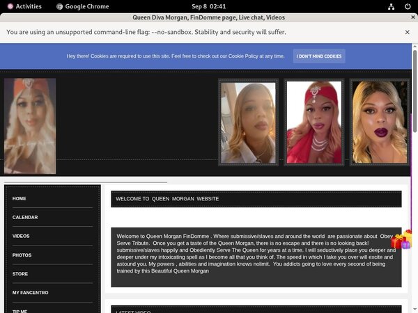 Try Thequeenmorgan.net For Free