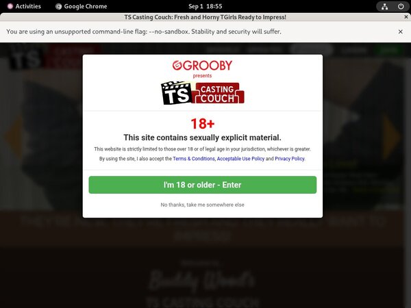 Tscastingcouch Site Review