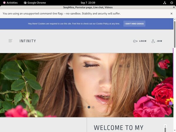 Working SexyMinx Login