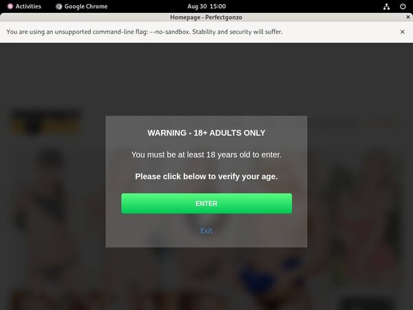 Perfectgonzo Site Passwords