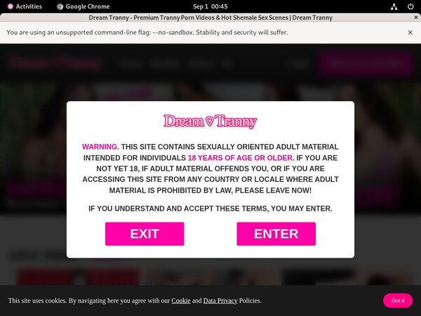 Dreamtranny.com Using Pay Pal