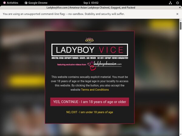 Ladyboy Vice Paypal Payment
