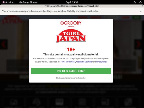 Tgirljapan.com Bug Me Not