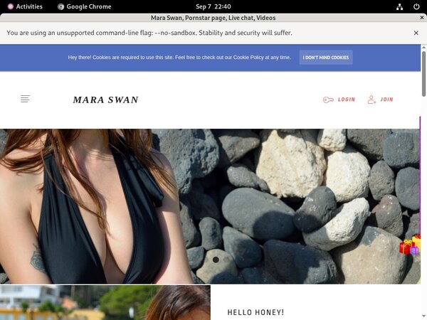 Maraswan.net Web
